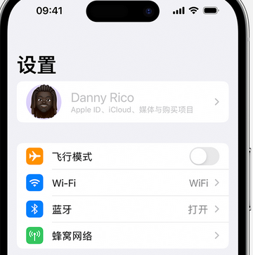 屯留appleID维修服务iPhone设置中Apple ID显示为灰色无法使用 