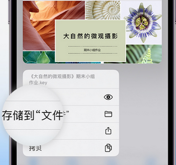 屯留apple维修中心分享iPhone文件应用中存储和找到下载文件