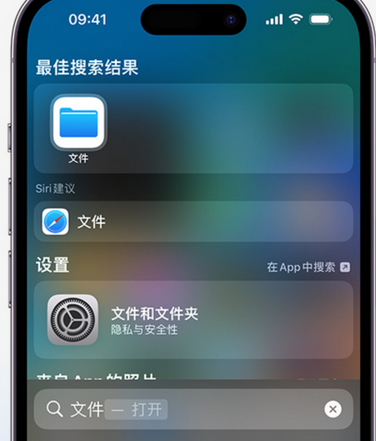 屯留apple维修中心分享iPhone文件应用中存储和找到下载文件 