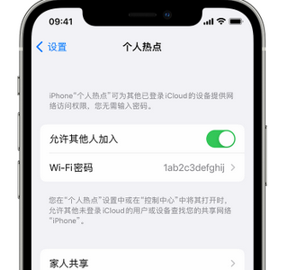 屯留apple服务站点分享iPhone上个人热点丢失了怎么办 