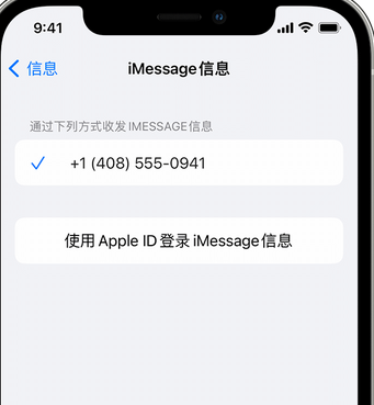 屯留apple维修iPhone上无法正常发送iMessage信息 