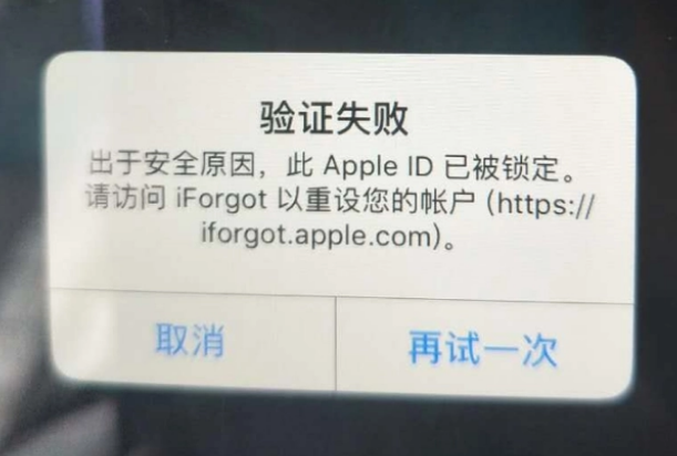 屯留iPhone维修分享iPhone上正常登录或使用AppleID怎么办 