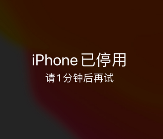 屯留苹果手机维修分享:iPhone 显示“不可用”或“已停用”怎么办？还能保留数据吗？ 