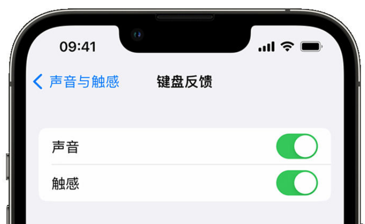 屯留苹果手机维修分享iPhone 14触感键盘使用方法 