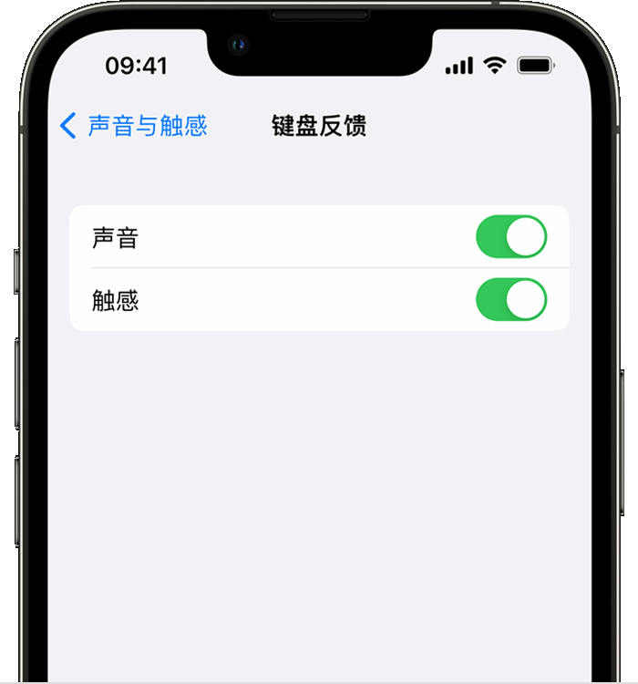 屯留苹果14维修店分享如何在 iPhone 14 机型中使用触感键盘 