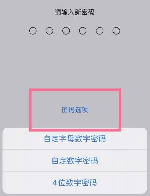 屯留苹果14维修分享iPhone 14plus设置密码的方法 