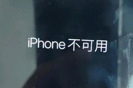 屯留苹果服务网点分享锁屏界面显示“iPhone 不可用”如何解决 