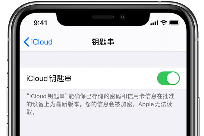 屯留苹果手机维修分享在 iPhone 上开启 iCloud 钥匙串之后会储存哪些信息 