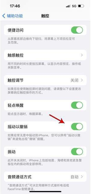 屯留苹果手机维修分享iPhone手机如何设置摇一摇删除文字 